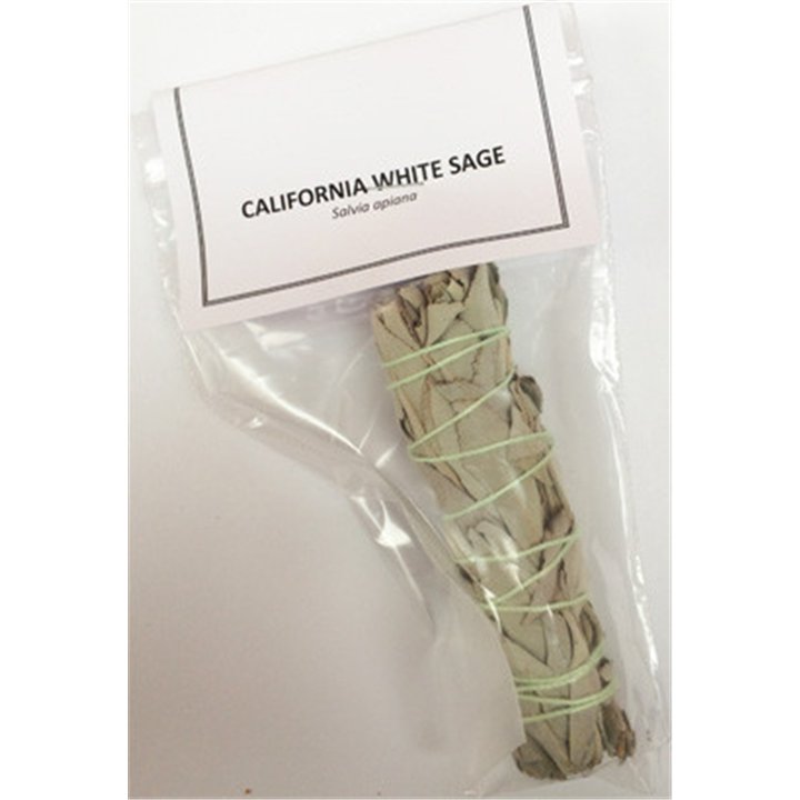White Sage bundle 4 inch