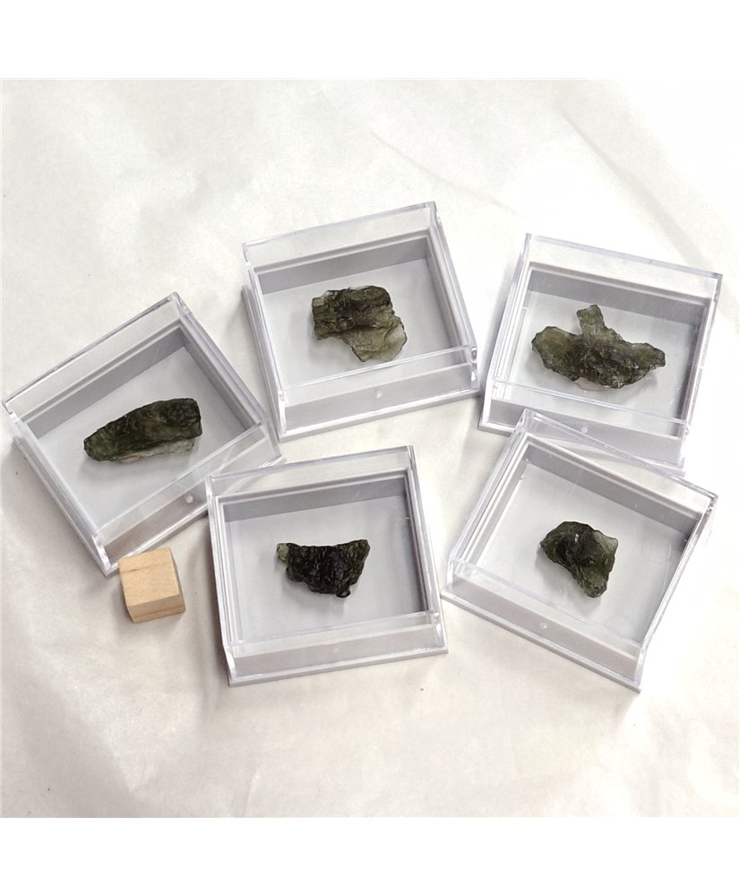 Moldavite Rough - Chlum, Czech Republic