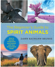 Beginner's Guide To Spirit Animals