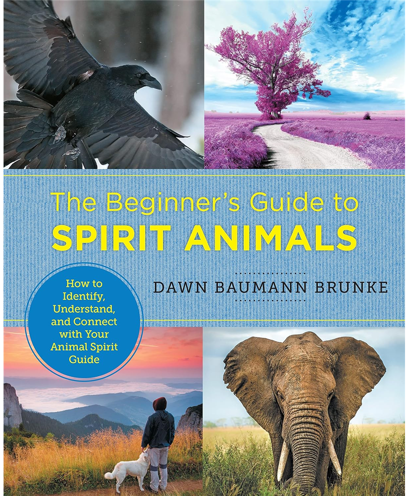 Beginner's Guide To Spirit Animals