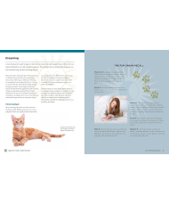 Beginner's Guide To Spirit Animals