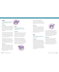 Beginner's Guide To Spirit Animals