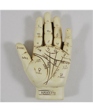 Palmistry Hand - 13cm