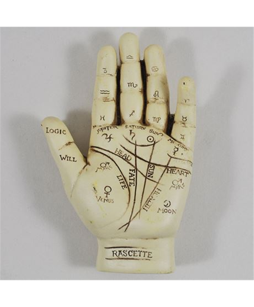 Palmistry Hand - 13cm