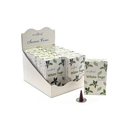 White Sage Incense Cones x15 - Stamford