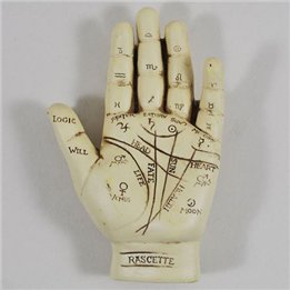 Palmistry Hand - small