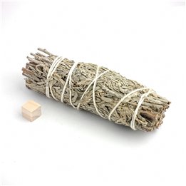 Desert Sage 4 inch unpackaged