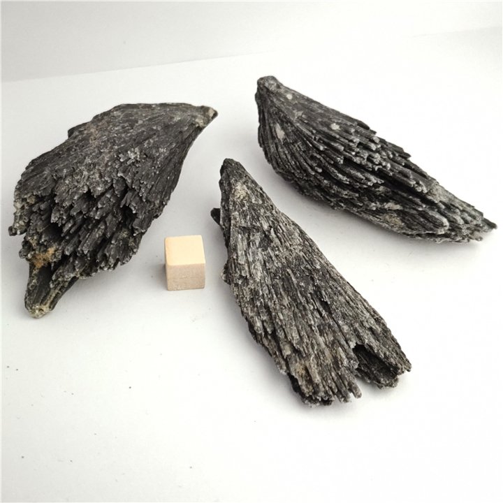 Black Kyanite Feather Rough 70-100mm