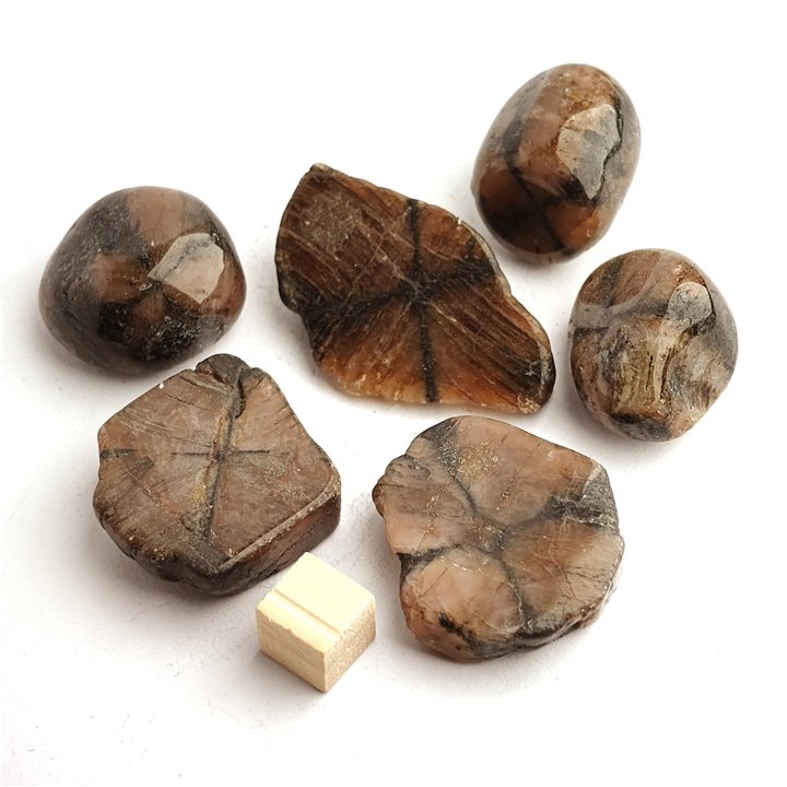 Chiastolite Tumblestone 20-30mm