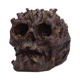 Deadwood Skull 11cm