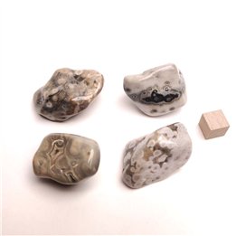 Ocean Jasper Large Tumble Stone