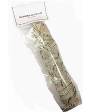 California White Sage bundle 9 inch
