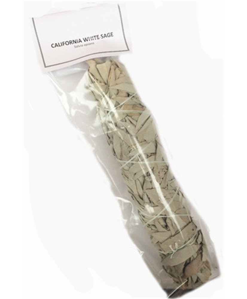 California White Sage bundle 9 inch