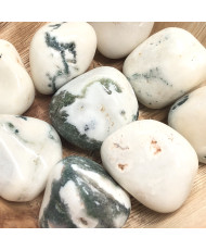 Tree Jasper Tumblestone 30-40mm