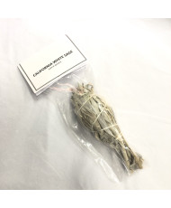 White Sage Mini bundle 4 inch bulb shape