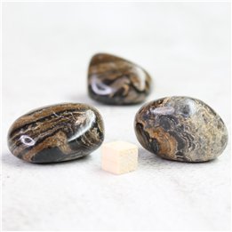 Stromatolite Large Tumble Stone
