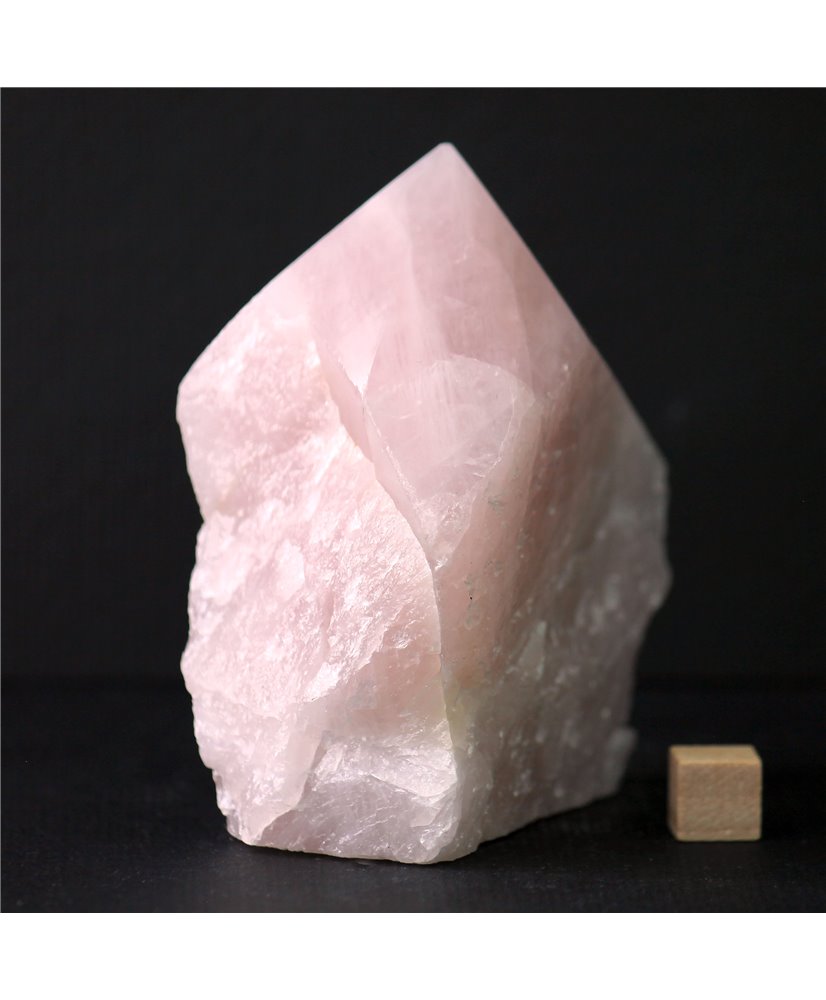 Rose Quartz Rough and Polished Standing Generator Point - 8cm - 290g