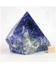 Sodalite Rough and Polished Standing Generator Point - 6.5cm - 285g